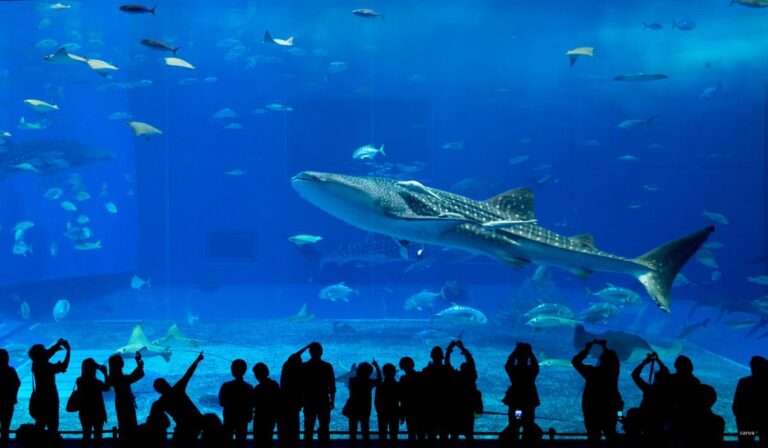 Dubai Aquarium & Underwater Zoo