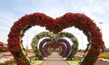 Dubai Miracle Garden