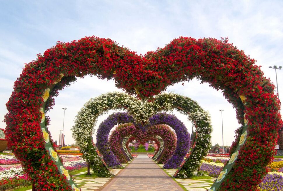 Dubai Miracle Garden
